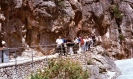 Feuerwehrausflug 2001 (Mallorca)