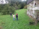 Freiburg 2011