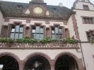 Freiburg 2011