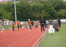 Bundesleistungsabzeichen und Deutschlandpokal (12.06.2004)